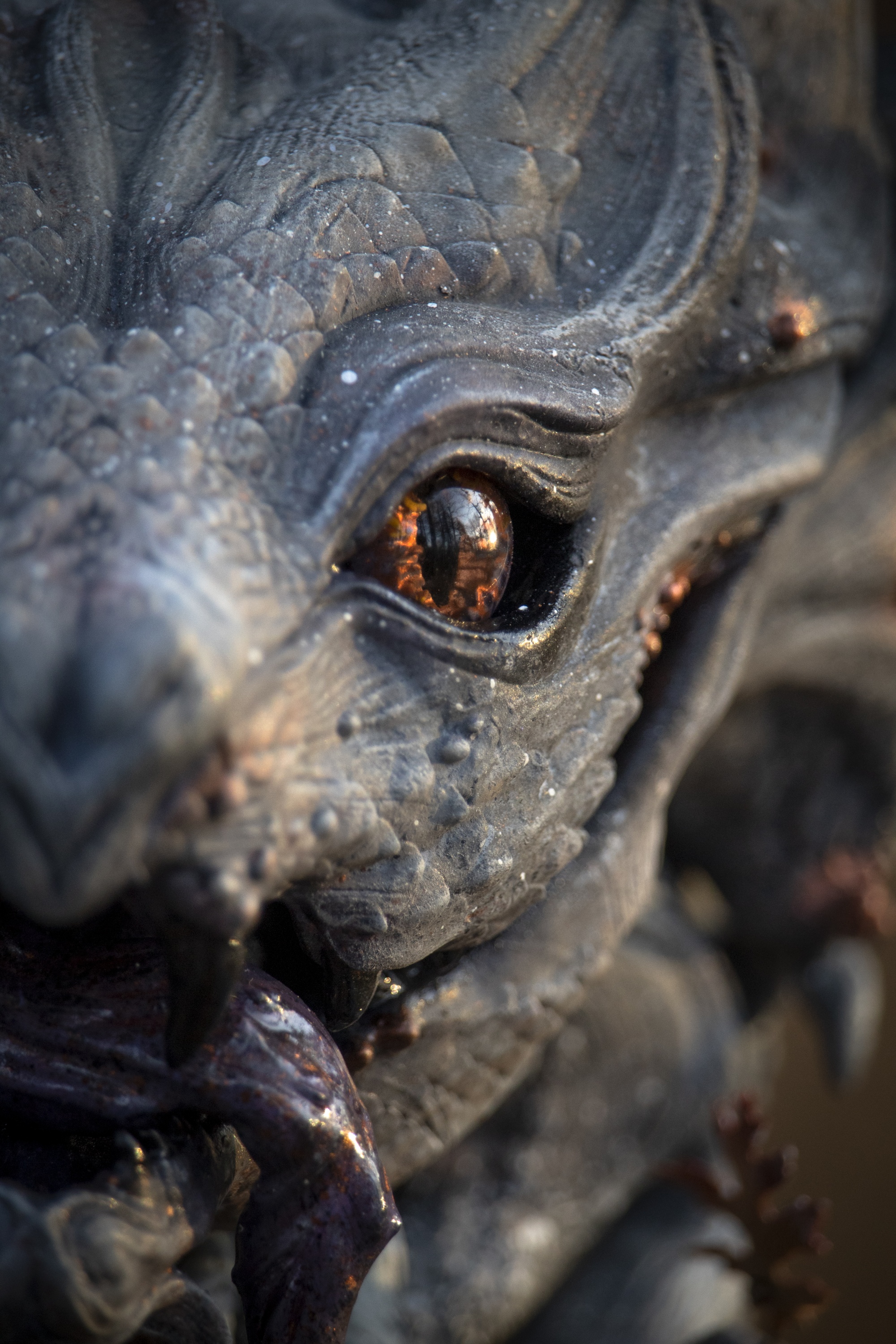 3D Print Eyes 3.jpg